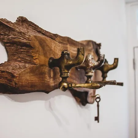 Casa Do Tio São Vicente